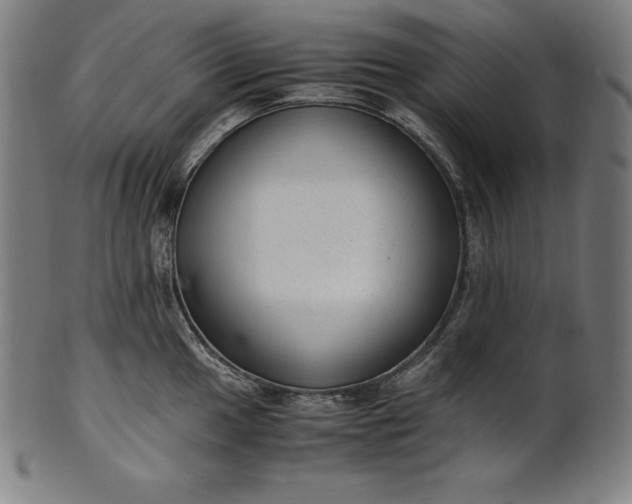 X0000101191049200807110940