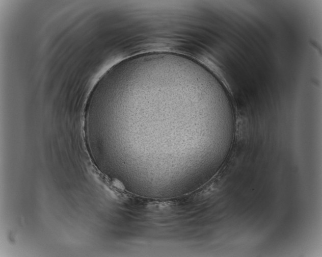 X0000101191051200807110940