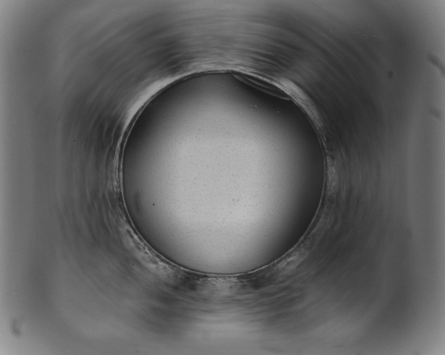 X0000101191052200807110940