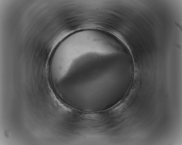 X0000101191053200807110940