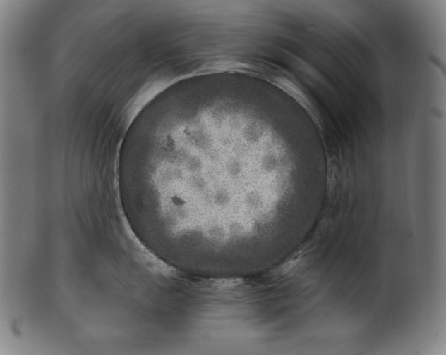 X0000101191055200807110940