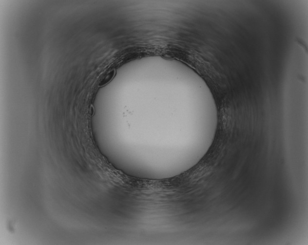 X0000101191057200807110939
