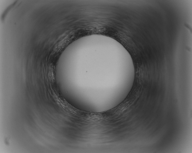 X0000101191058200807110939