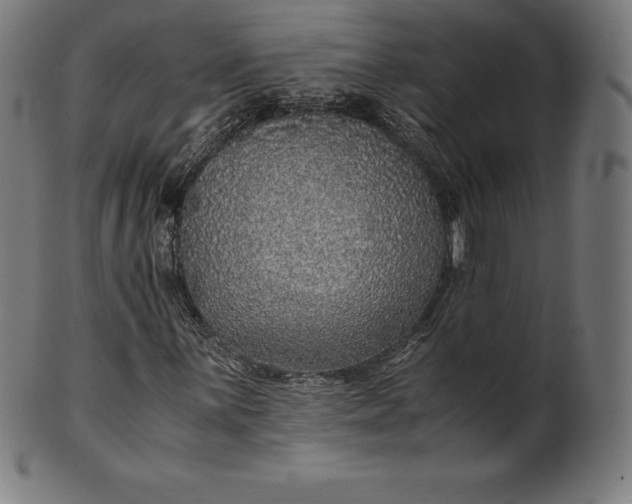 X0000101191059200807110939