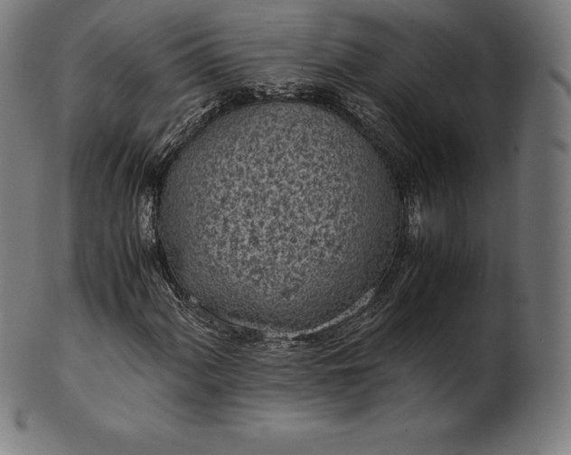 X0000101191060200807110939