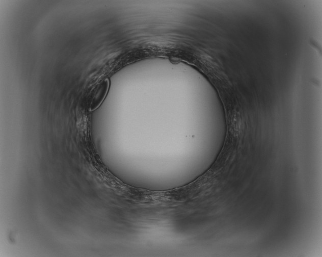 X0000101191061200807110939