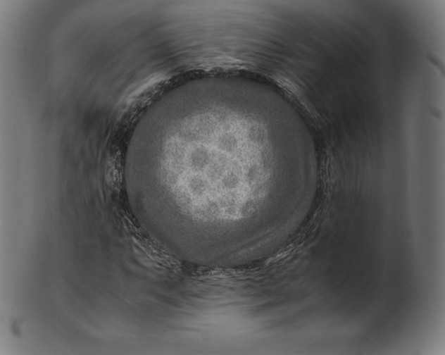 X0000101191063200807110939
