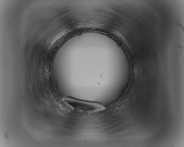 X0000101191064200807110939