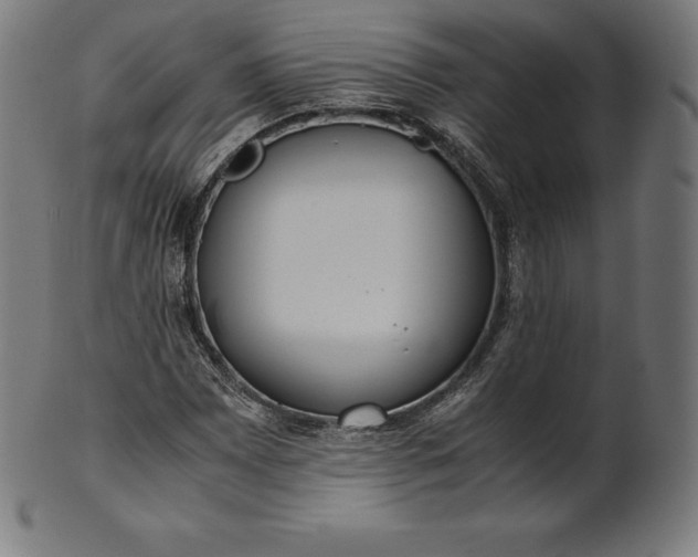 X0000101191065200807110939
