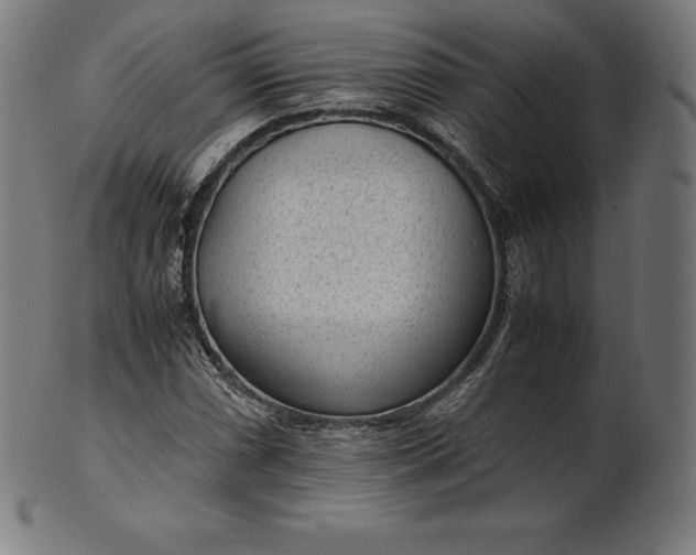 X0000101191066200807110939