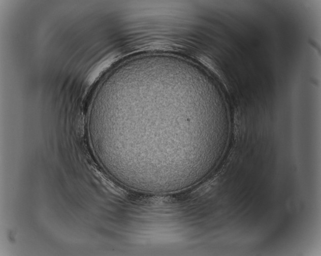X0000101191067200807110939