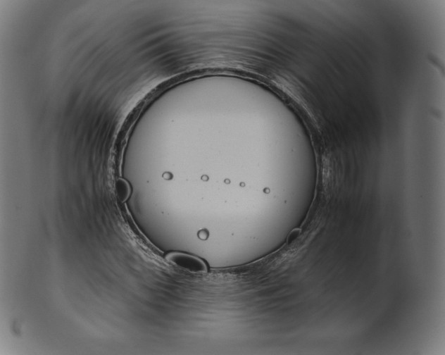 X0000101191068200807110939