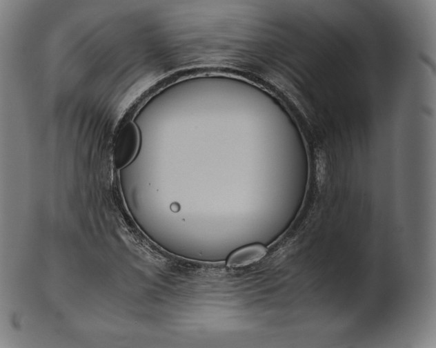 X0000101191069200807110939