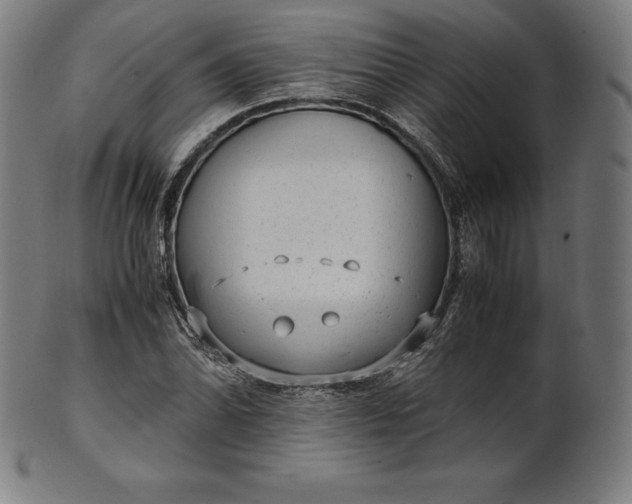 X0000101191070200807110939