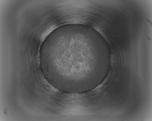X0000101191071200807110939
