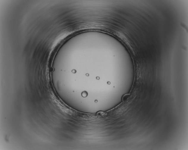 X0000101191072200807110939
