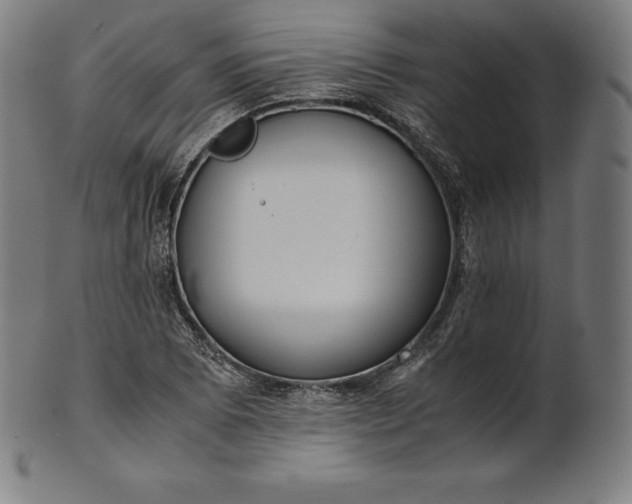 X0000101191073200807110939
