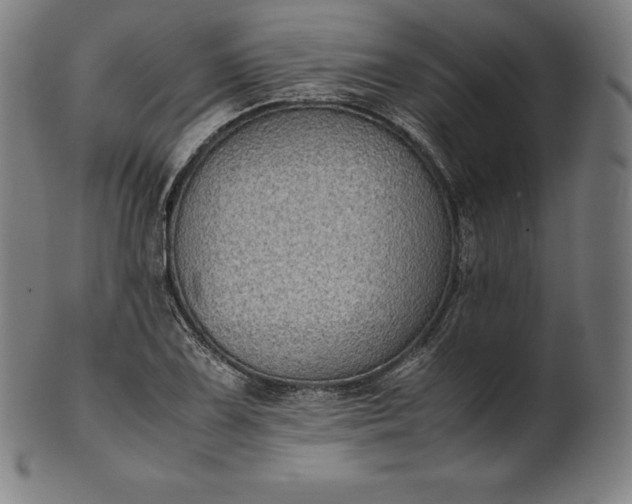X0000101191075200807110939