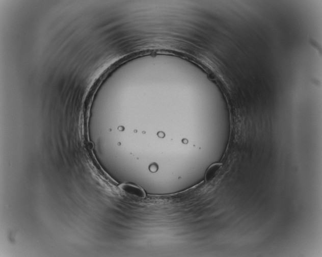 X0000101191076200807110939