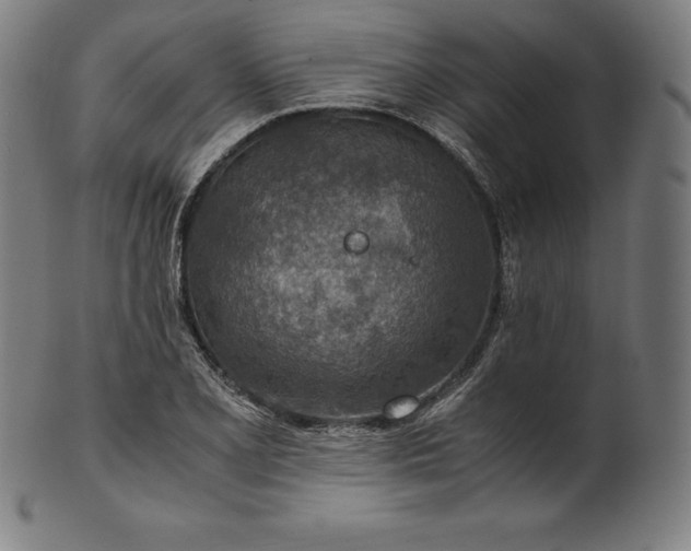 X0000101191077200807110939