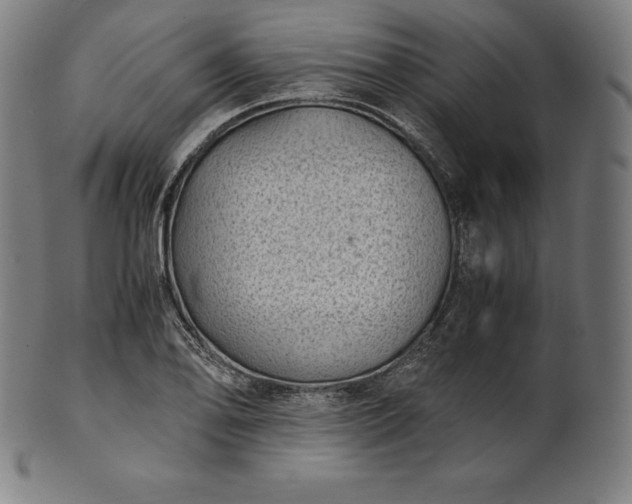 X0000101191078200807110939