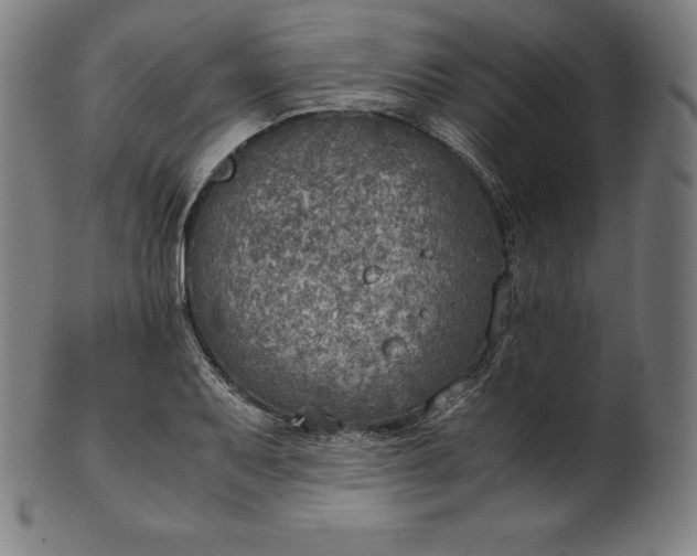 X0000101191079200807110939