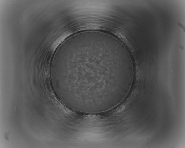 X0000101191081200807110939