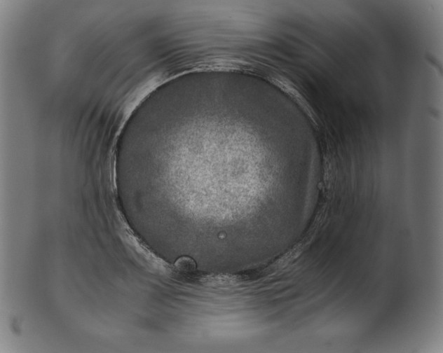 X0000101191083200807110939