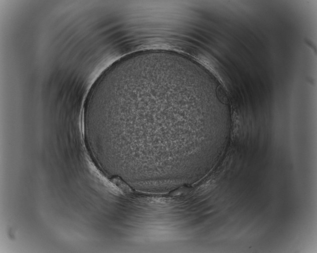 X0000101191084200807110939