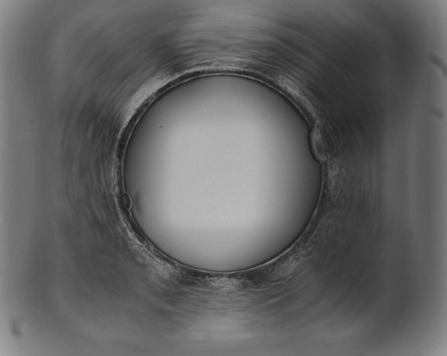 X0000101191085200807110939