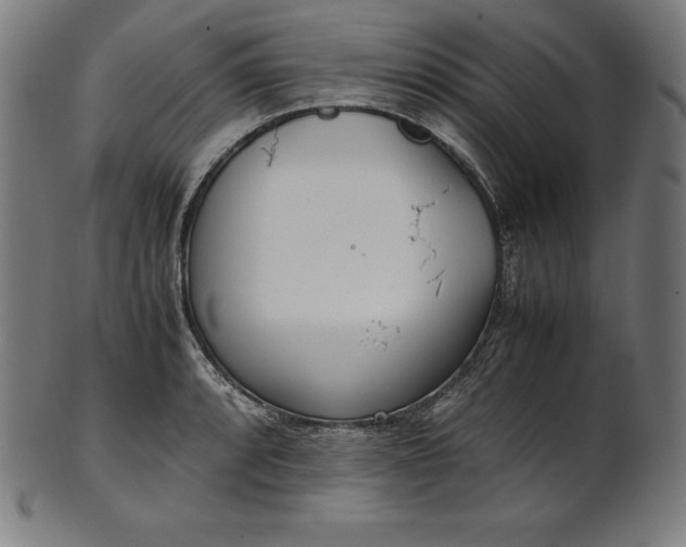 X0000101191088200807110939