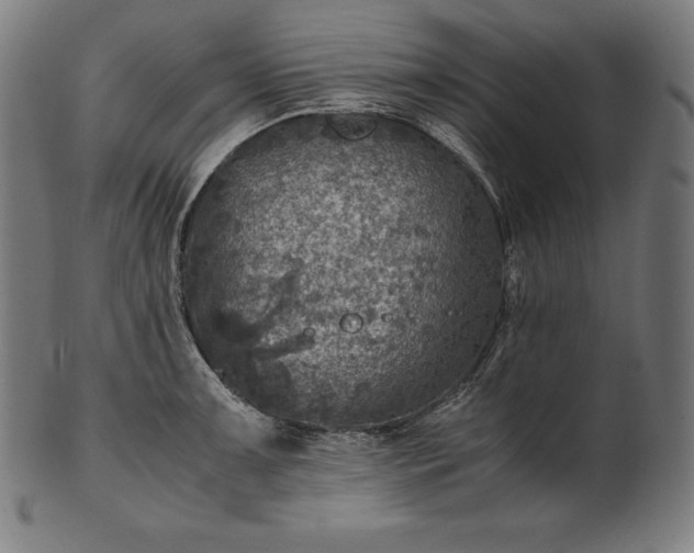 X0000101191091200807110939