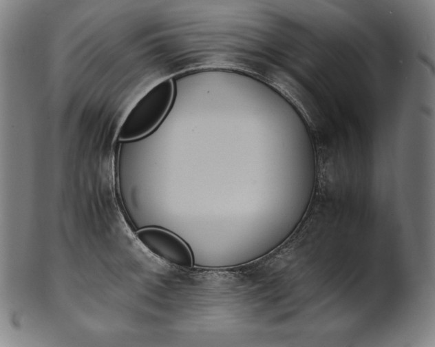 X0000101191092200807110939