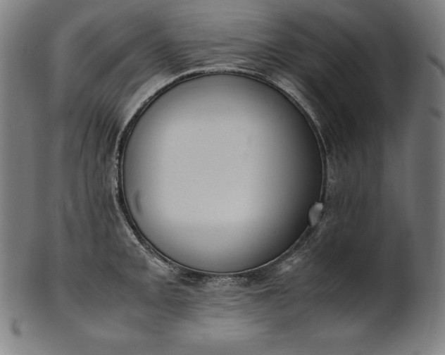 X0000101191093200807110939