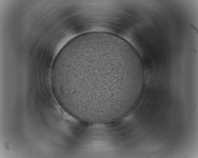 X0000101191094200807110939