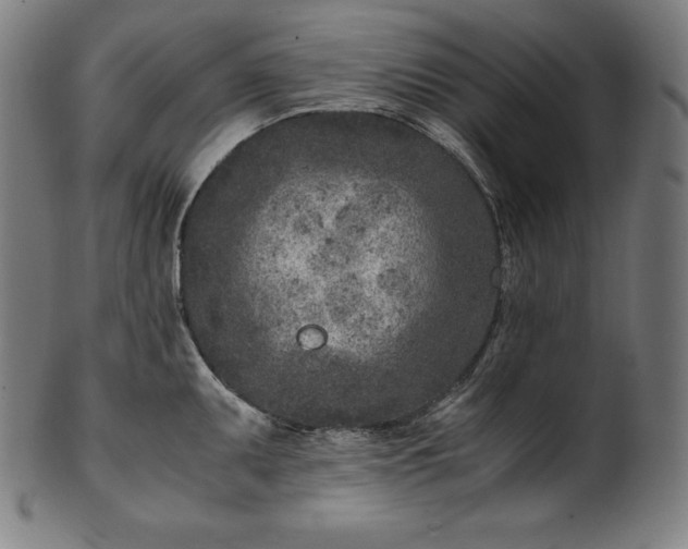 X0000101191095200807110939