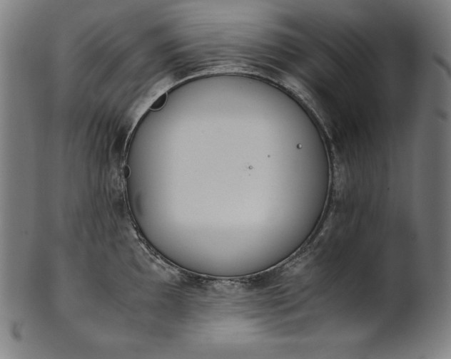 X0000101191097200807110939