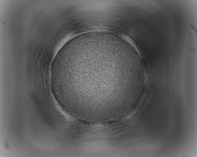 X0000101191099200807110939