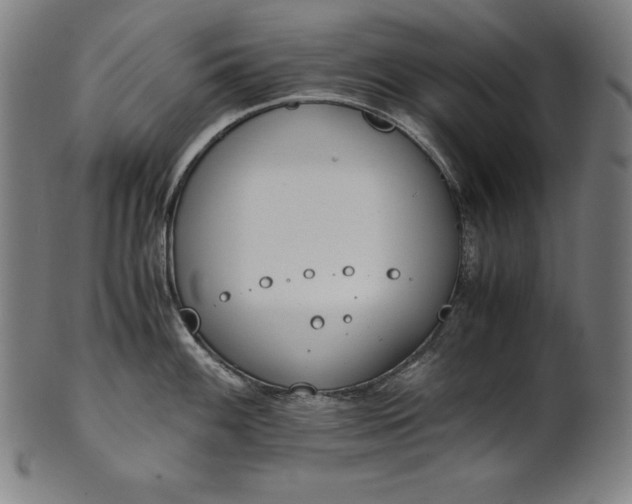 X0000101191100200807110939