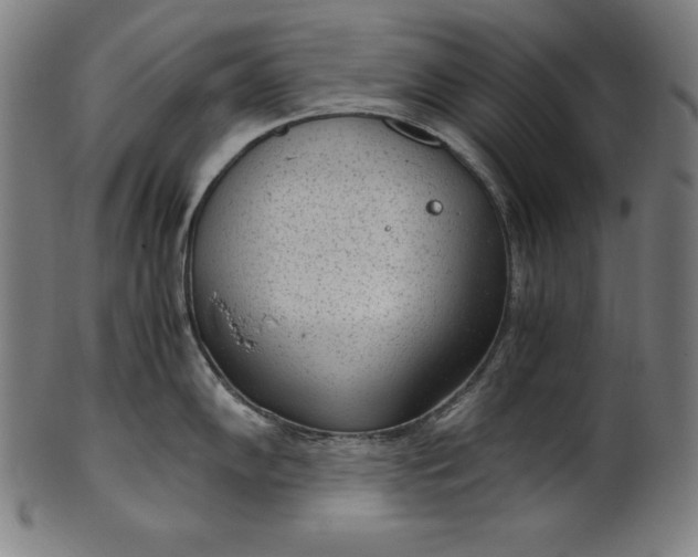 X0000101191102200807110939