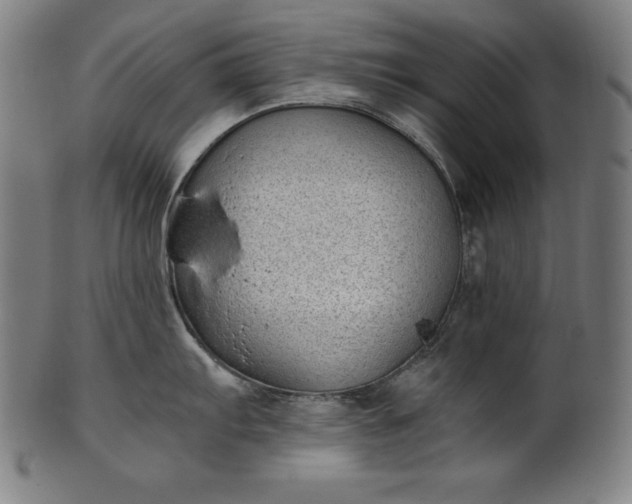 X0000101191103200807110939