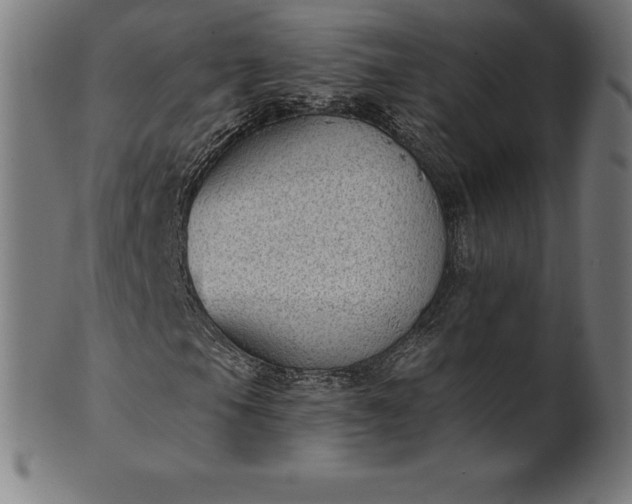 X0000101191105200807110938