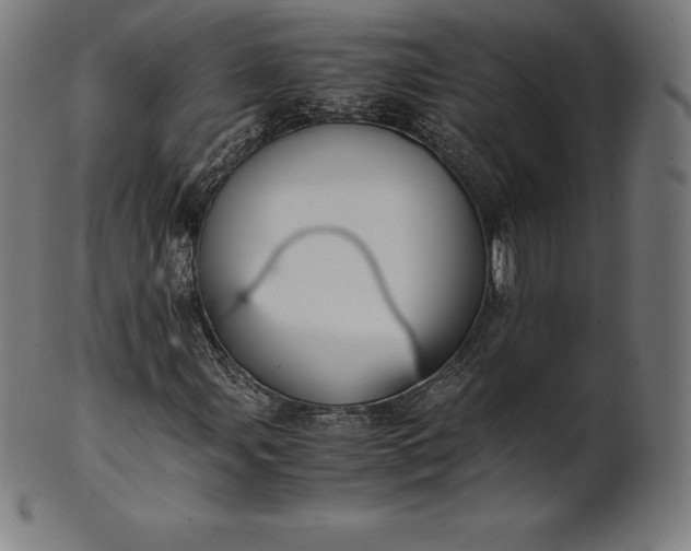 X0000101191107200807110938