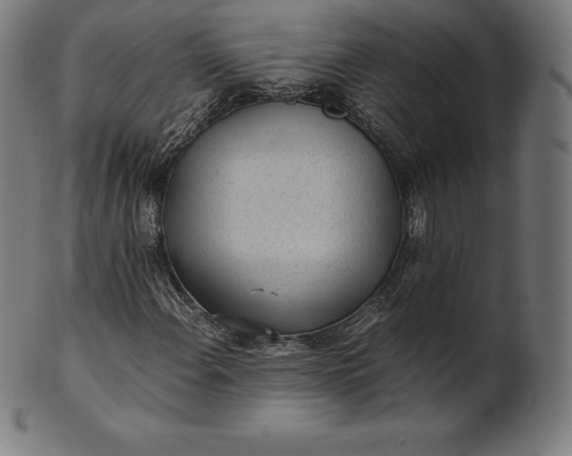 X0000101191108200807110938