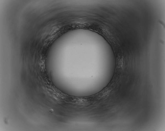 X0000101191109200807110938