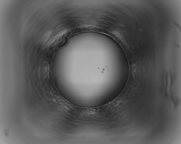 X0000101191111200807110938
