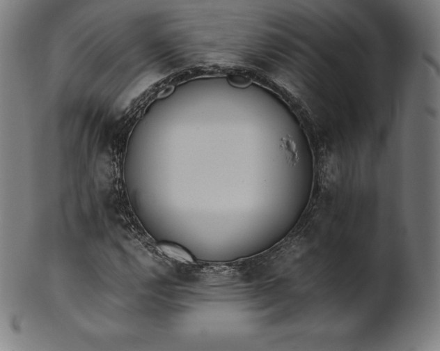 X0000101191112200807110938