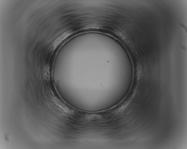 X0000101191113200807110938
