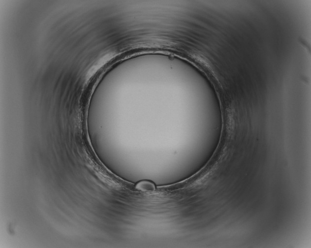 X0000101191114200807110938
