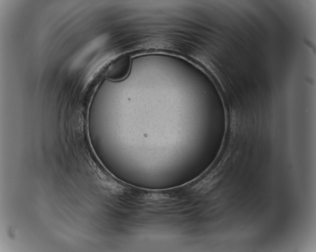 X0000101191115200807110938